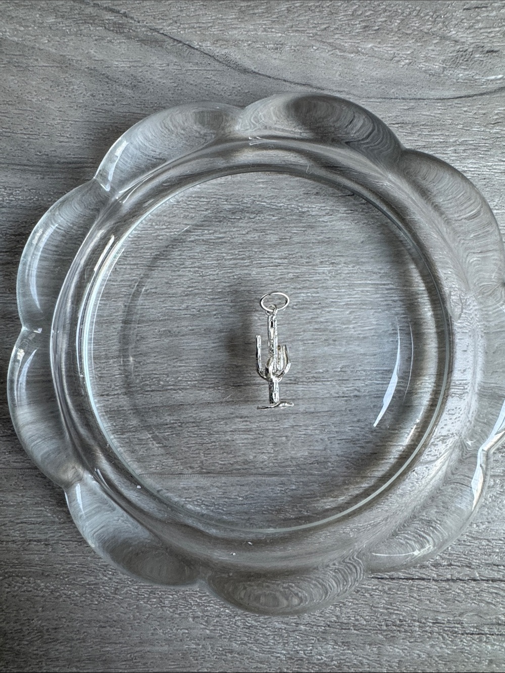 Sterling silver cactus pendant charm - 925